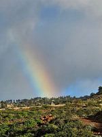 Paysage arc-en-ciel