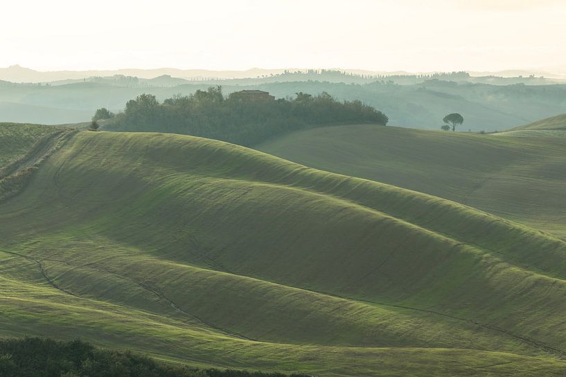 beautiful rolling hills of Tuscany by Besa Art