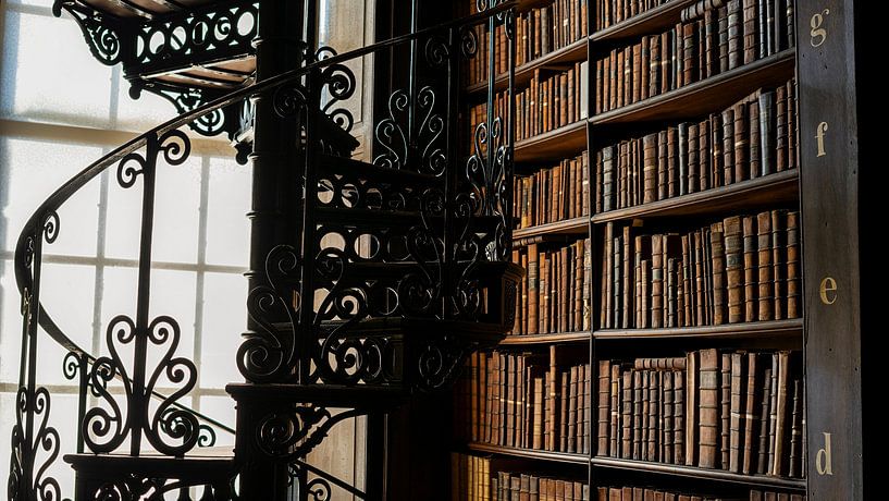 Treppe in der Bibliothek des Trinity College von Terry De roode