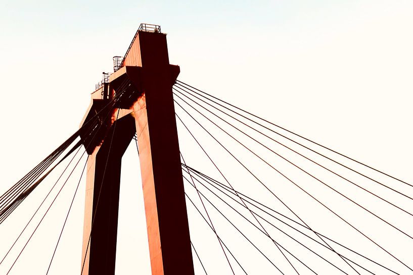 Willemsbrug Rotterdam van Mirjam van de Ven