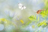 Fantasie mit Buschwindröschen