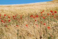 Sommer im Land der Deux Caps