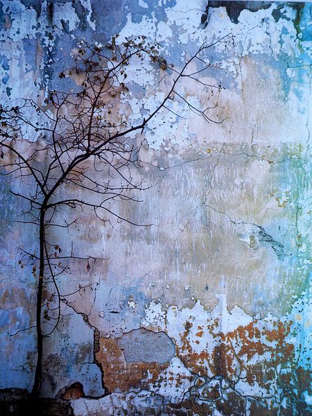 Wand Baum Natur Melancholie Minimalismus Textur von gm_designs