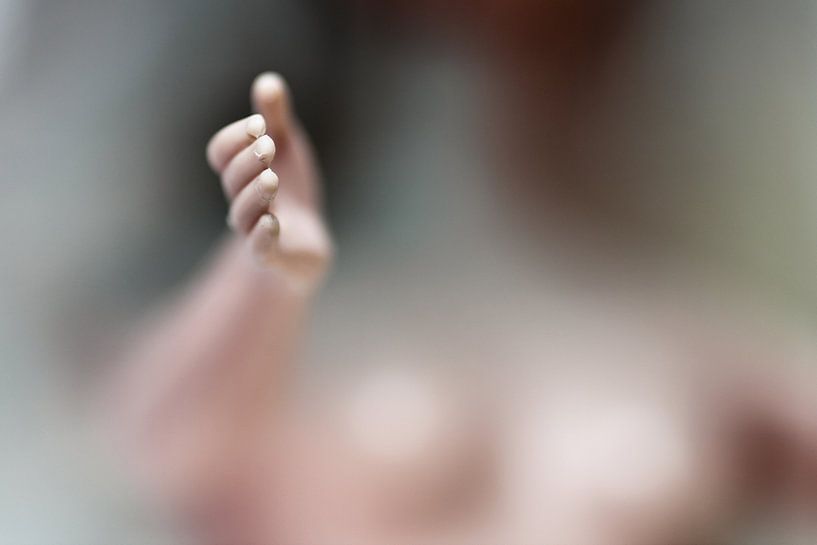 Schönheit.... verblasst? (nackt, nackig) von Bob Daalder