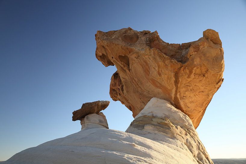 Hoodoo Forest (Rimrocks North) Grand Staircase-Escalante National Monument  im Süden Utahs, USA von Frank Fichtmüller