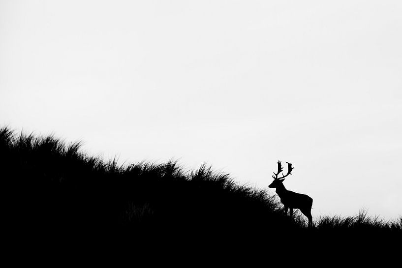 Zurück zur Einfachheit von Pim Leijen