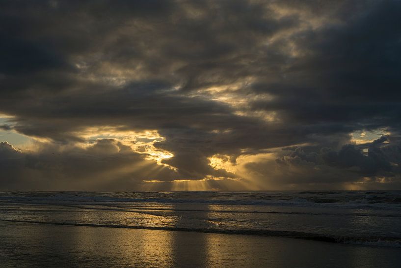 Golden rays of light by Barbara Brolsma