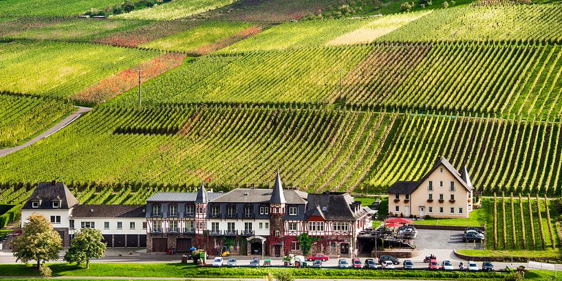 Landgoed aan de Moezel by Harrie Muis