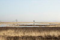 Minimalistisch landschap in de mist