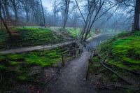 De bruggetjes van Landgoed Elswout