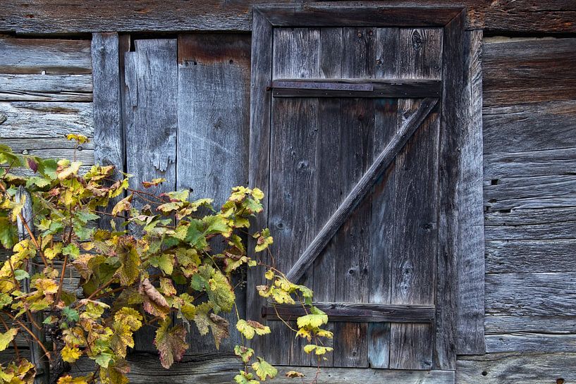 Gegangener Ruhm von René Pronk