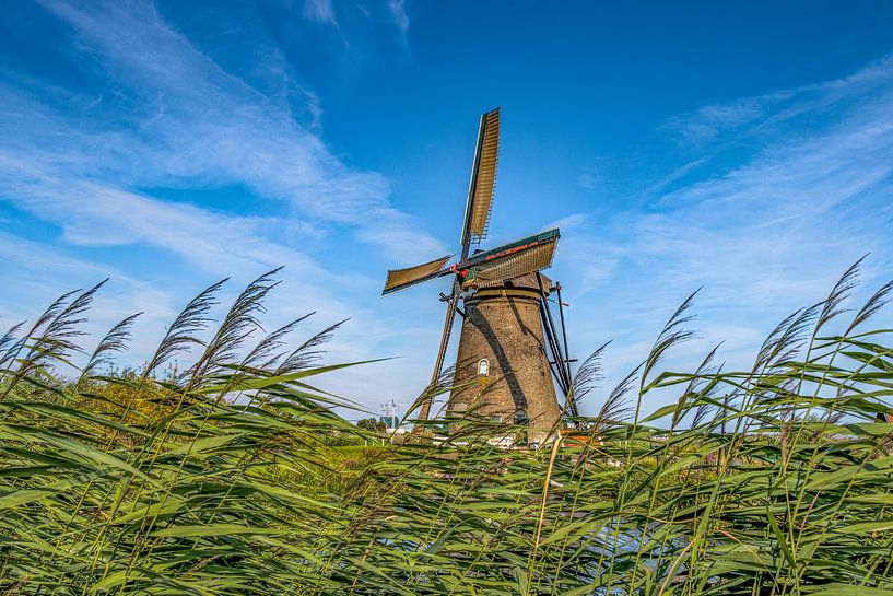 Kinderdijk - mill by Maurice Meerten