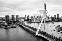 Skyline Rotterdam