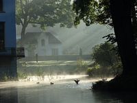 Mist en zonnestralen