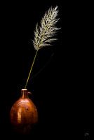 Stilleben mit Töpferware und Federn