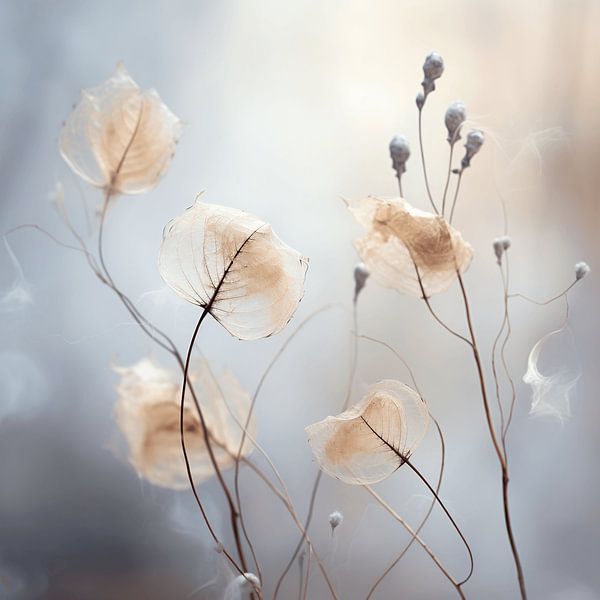 Beauté des semences par Karina Brouwer