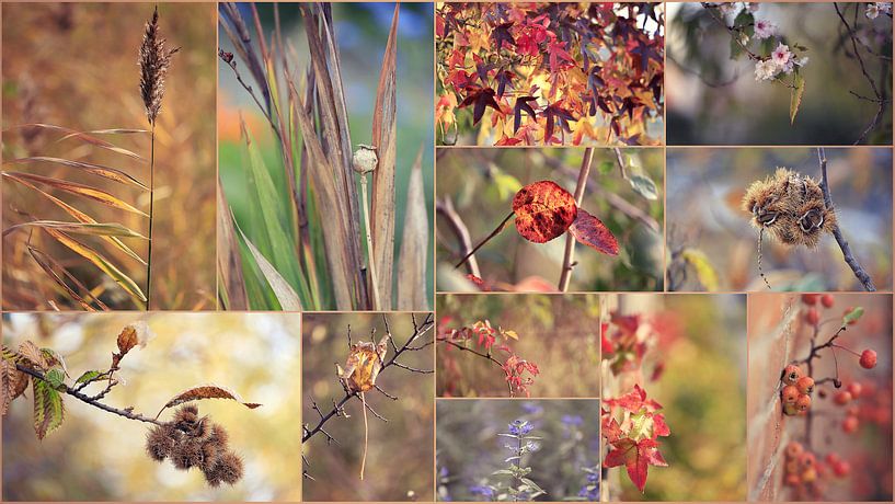 collage &quot; autumn &quot; by Els Fonteine