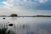 Uitzicht over Åsnen in Zweden