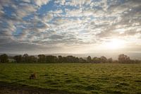 Sunrise in the Ardennes