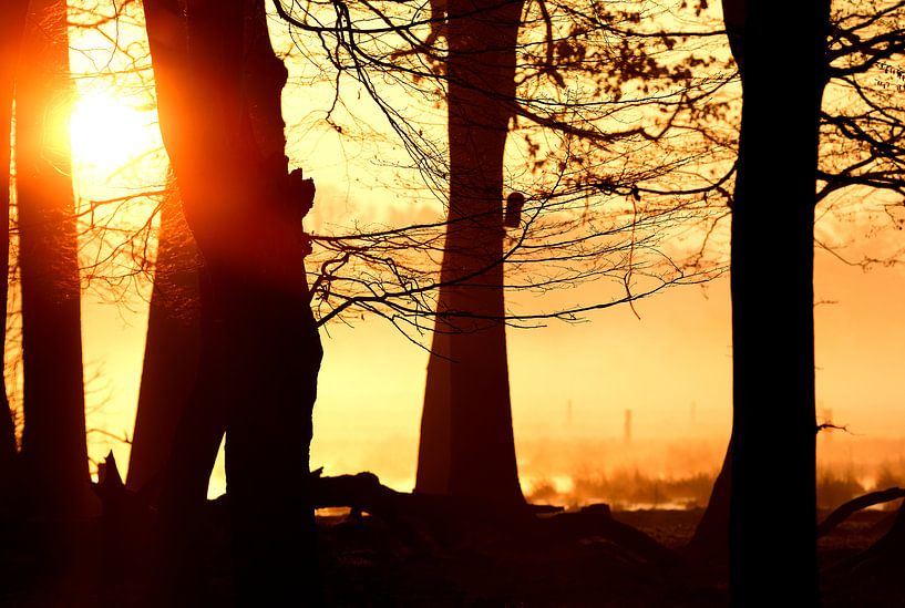 Mystische Momente von Lars Tuchel