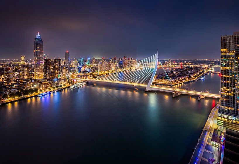 View of the Erasmus Bridge by Ellen van den Doel