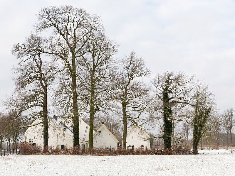 Hofstede Wiltenburg aan de Koninslaan in Bunnik in de sneeuw par Marijke van Eijkeren