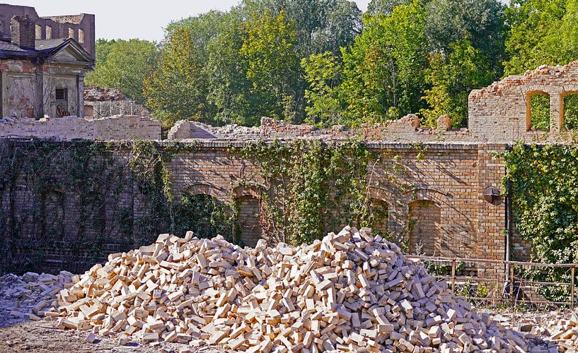 Abriss des Speicher gebäudes des Komplexes Böllberger Mühle in Halle von Babetts Bildergalerie