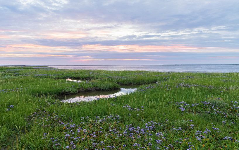 Moddergat - Friesland (Niederlande) von Marcel Kerdijk