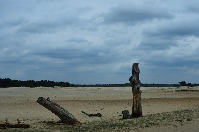 Une dérive de sable sur le Veluwe par Gerard de Zwaan