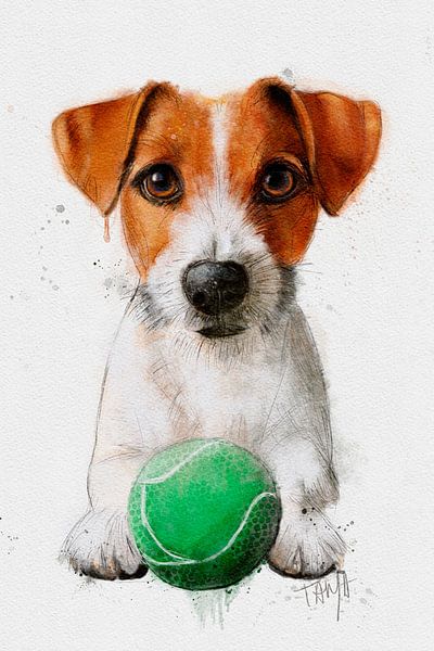 Jack Russel Pip von Tanja Kooymans