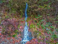 Baby-Wasserfall in Bayehon Malmedy