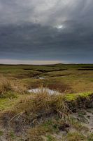 Die Salzmarsch von Terschelling