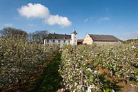 Hoeve De Bockhof, Schimmert