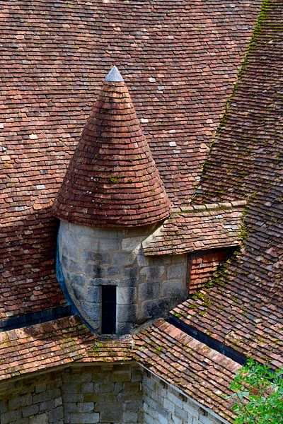 Nahaufnahme eines Türmchens mit orangefarbenen Dachziegeln eines französischen Schlosses von Studio LE-gals