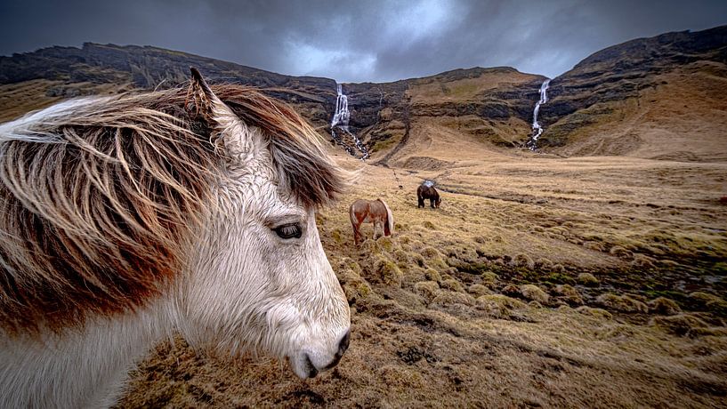Iceland by Maarten van der Voorde