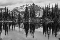 Black/white reflection of mountain and trees in Canadian lake