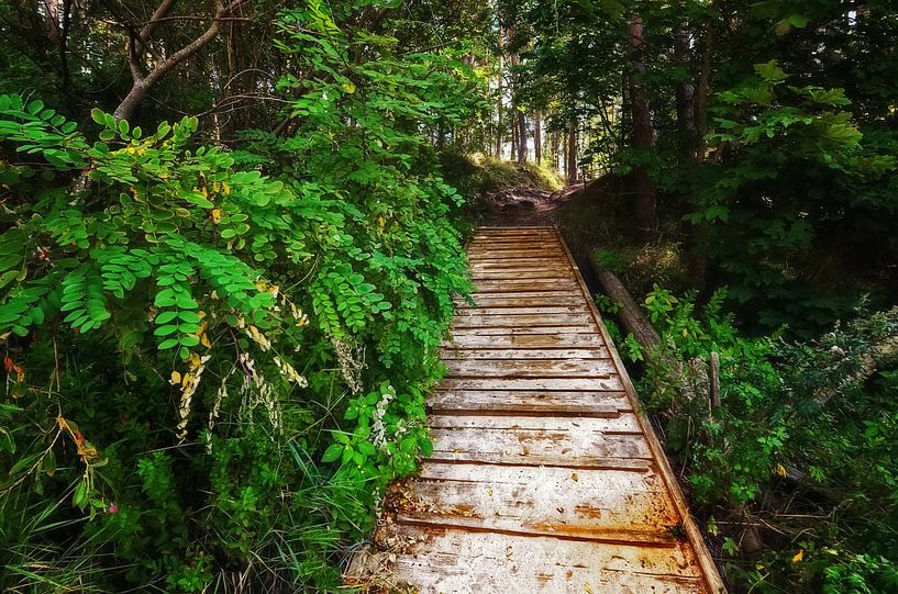 Green Path II by Marlika Art