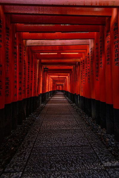 Portes Torii mystiques au lever du soleil - Silence spirituel au Japon par Michael Bollen