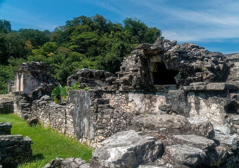Mexico: Pre-Hispanic City and National Park of Palenque (Palenqu von Maarten Verhees