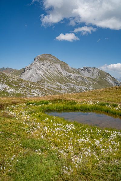 kleiner Tümpel in den Alpen von Davos und die Schweizer Alpen von Leo Schindzielorz