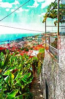 Blick hinunter nach Funchal von Monte auf Madeira