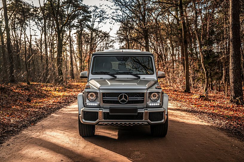 Mercedes-AMG G63 von Bas Fransen