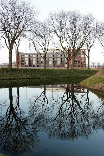 Reflexion von Christel Smits