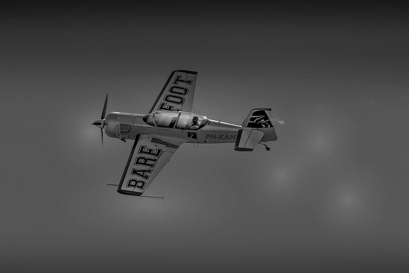 Suchoi 29 von Raymond Engelen