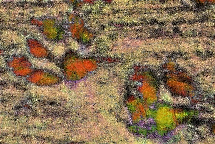 Pfotenabdrücke als Schmetterlinge von Dorothy Berry-Lound