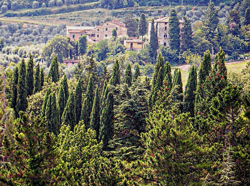 Toskanische Landschaften bei Cetona von Dorothy Berry-Lound