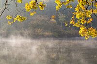 Autumn colors at a lake in the forest