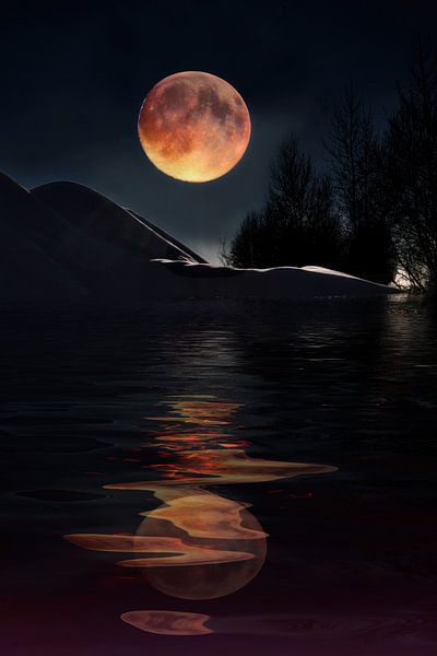 Blutmond von Christine Nöhmeier