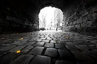 Maastrichts "Helpoort" mit gelbem Herbstlaub im Weitwinkel (Stadttor)