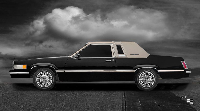 Ford Thunderbird Box Bird par aRi F. Huber